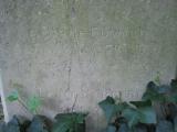 image of grave number 443863